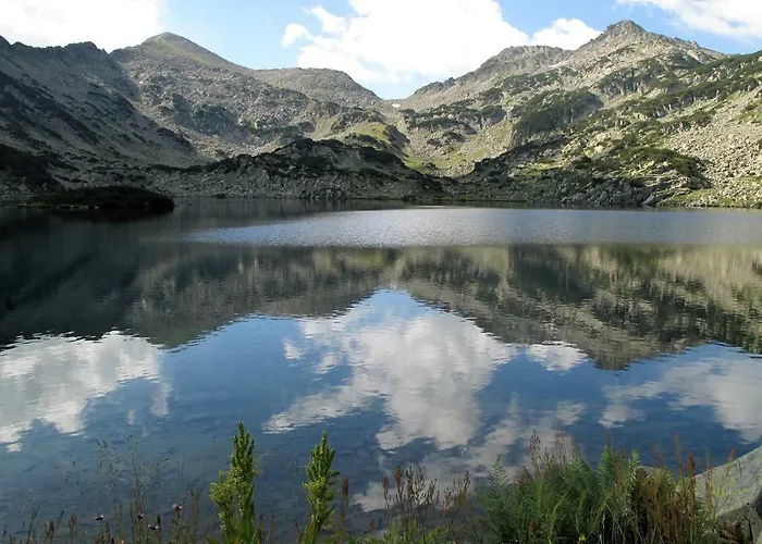 Cozy Next To Gondola * Bansko